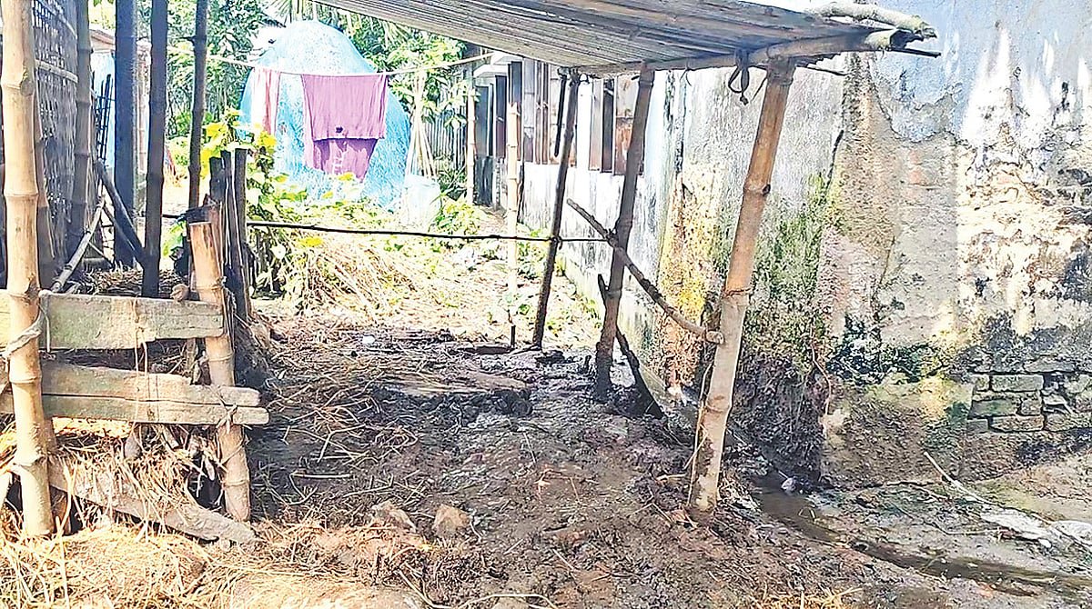 জামালপুরে গোয়ালঘরের পানি শ্রেণিকক্ষে, দুর্গন্ধের মধ্যে চলে পাঠদান
