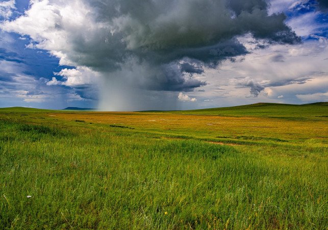 Irregular rainfall disrupts farming