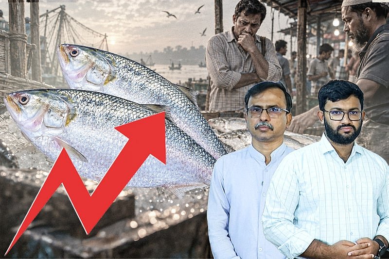 ২২০০ টাকা কেজি ইলিশ, এত দাম কেন?