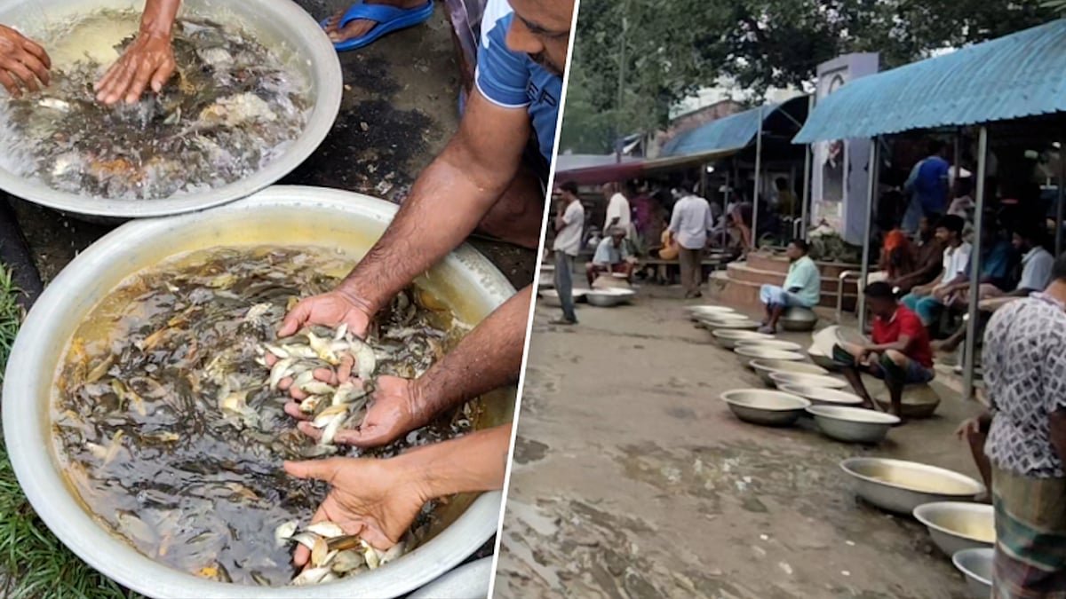 ৫০ বছর ধরে মাছের পোনা বিক্রি হয় যে বাজারে