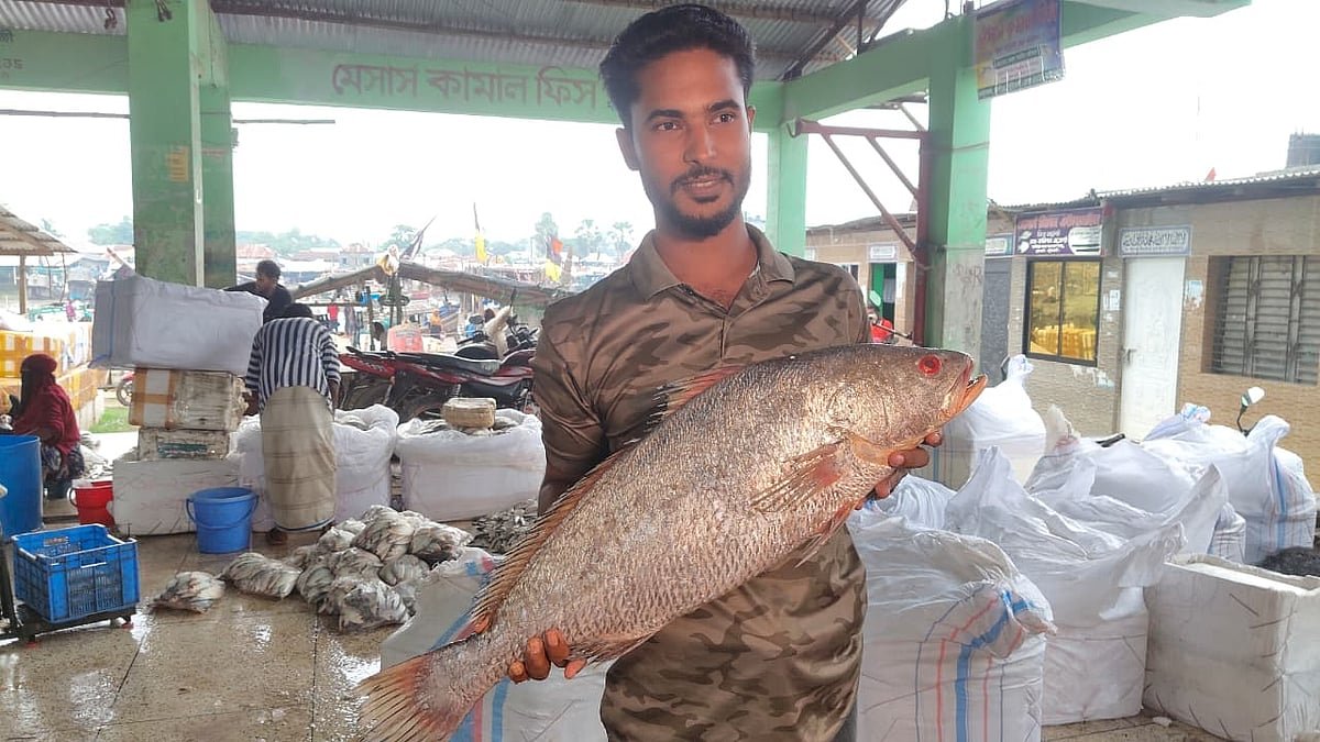 ৮ কেজির কালো পোয়া মাছ বিক্রি হলো ৪০ হাজার টাকায়