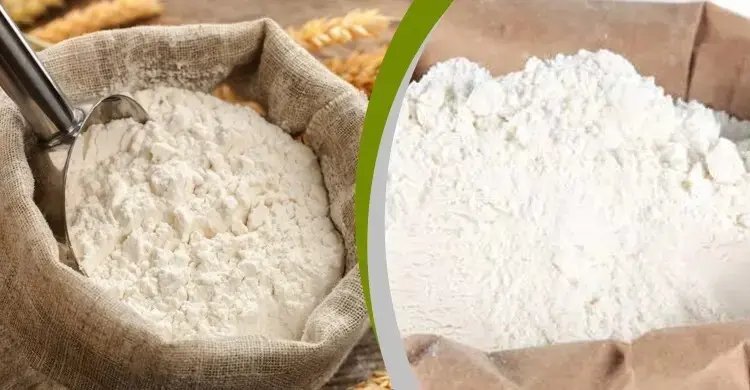 আটা-ময়দা কিনতে কত খরচ? জানুন পশ্চিমবঙ্গের বাজারদর