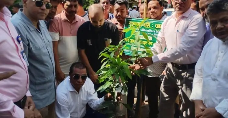 বিগত ১৭ বছরে দেশের শিক্ষাব্যবস্থা ধ্বংস করা হয়েছিল: এনামুল হক