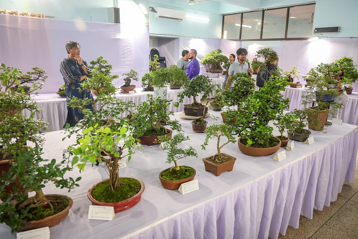 ছোট্ট পাত্রে প্রকৃতির বিশাল গল্প