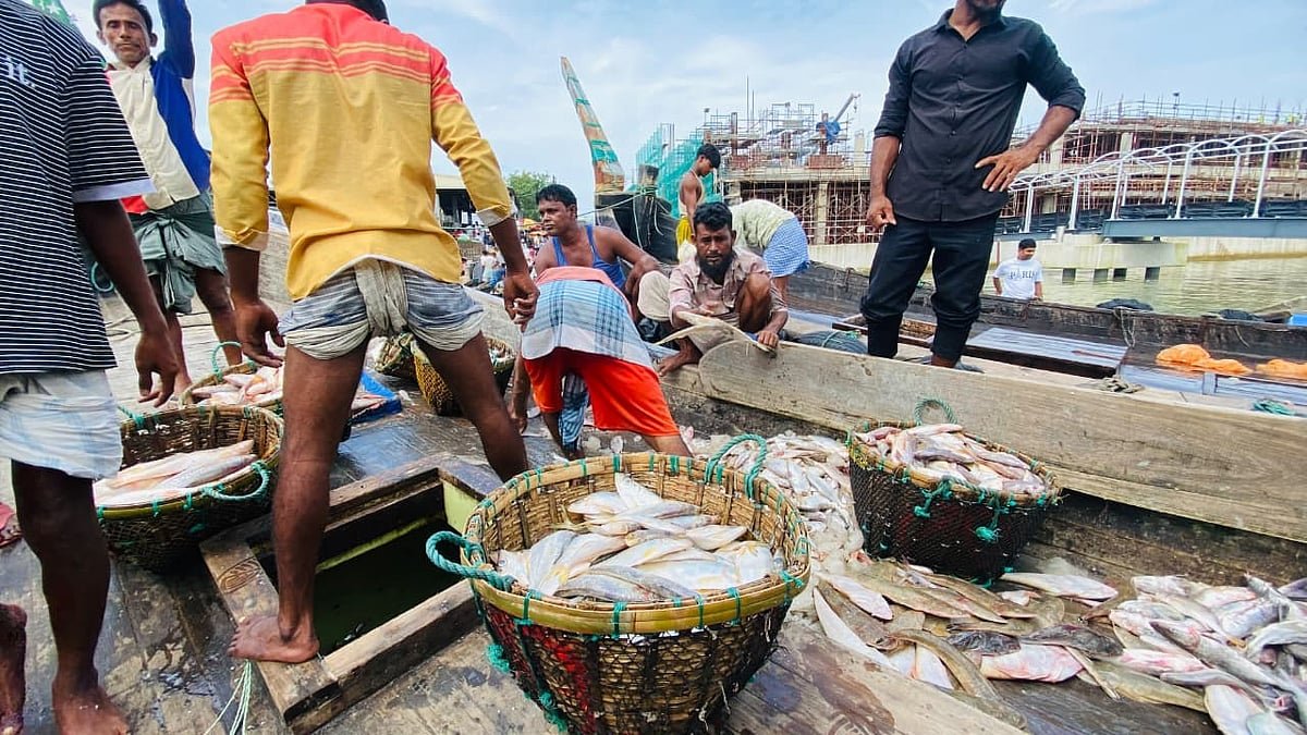 ছয় দিন সাগরে ভেসে ছিল এফভি কুলসুমা, শেষ দিনে জালে ২৬ লাখ টাকার ইলিশ