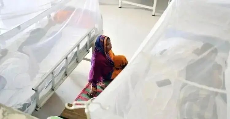 চট্টগ্রামে ডেঙ্গুতে আরও ১ জনের মৃত্যু, আক্রান্ত ৫৪