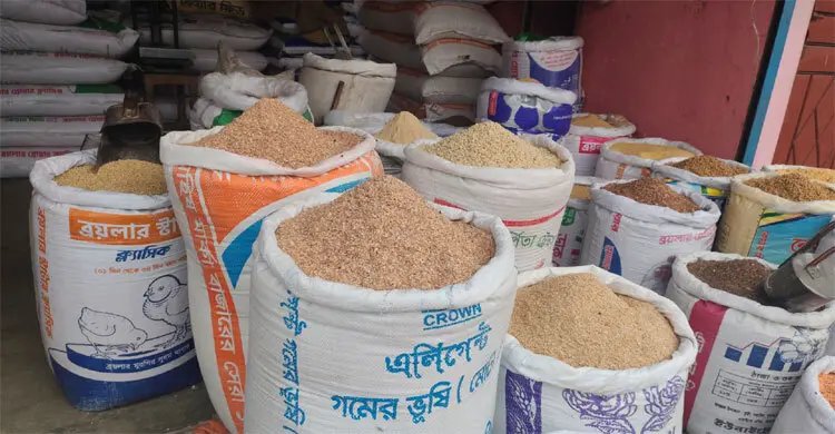 দাম বেড়েছে সব ধরনের ফিডের, চাপে খামারিরা
