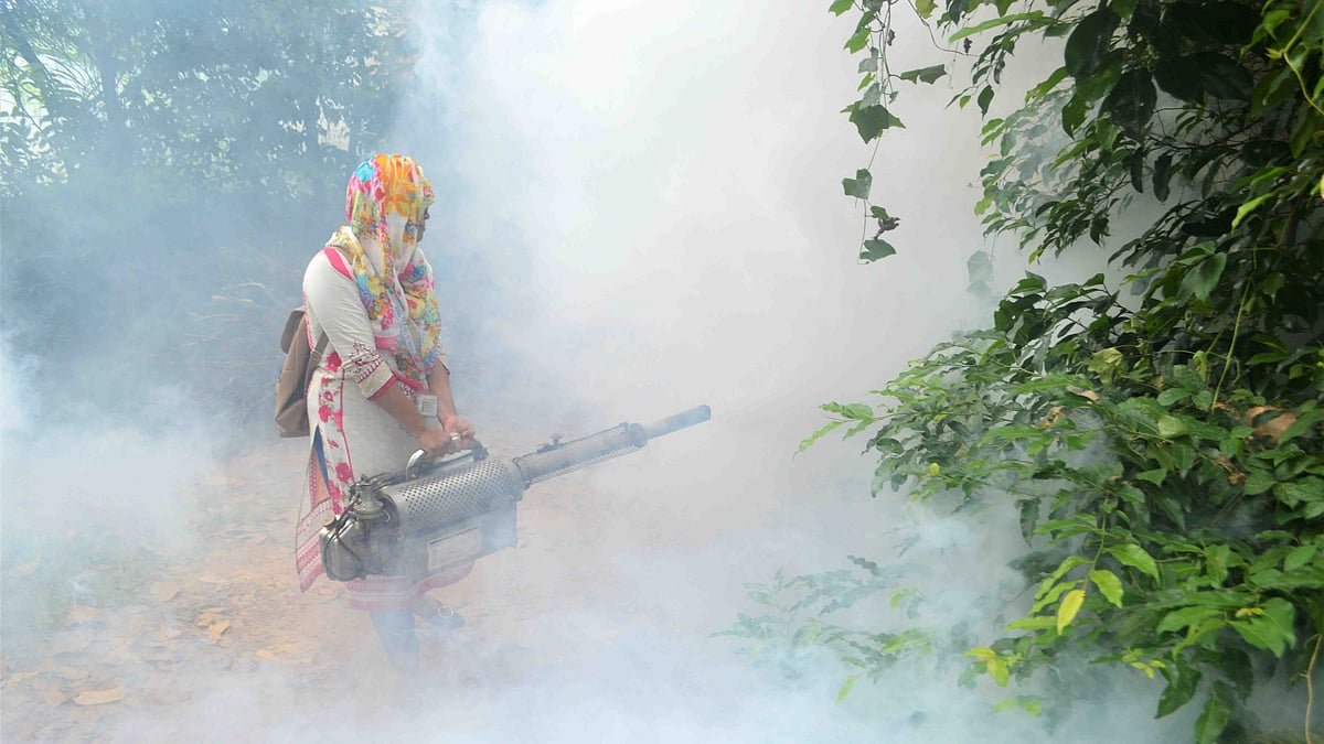 ডেঙ্গু বাড়ার পরই কেন আমাদের প্রস্তুতি শুরু হয়