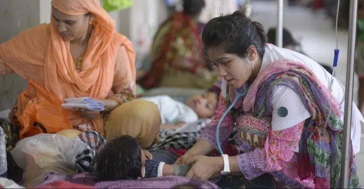 ডেঙ্গুতে আরও ৩ জন মারা গেছেন