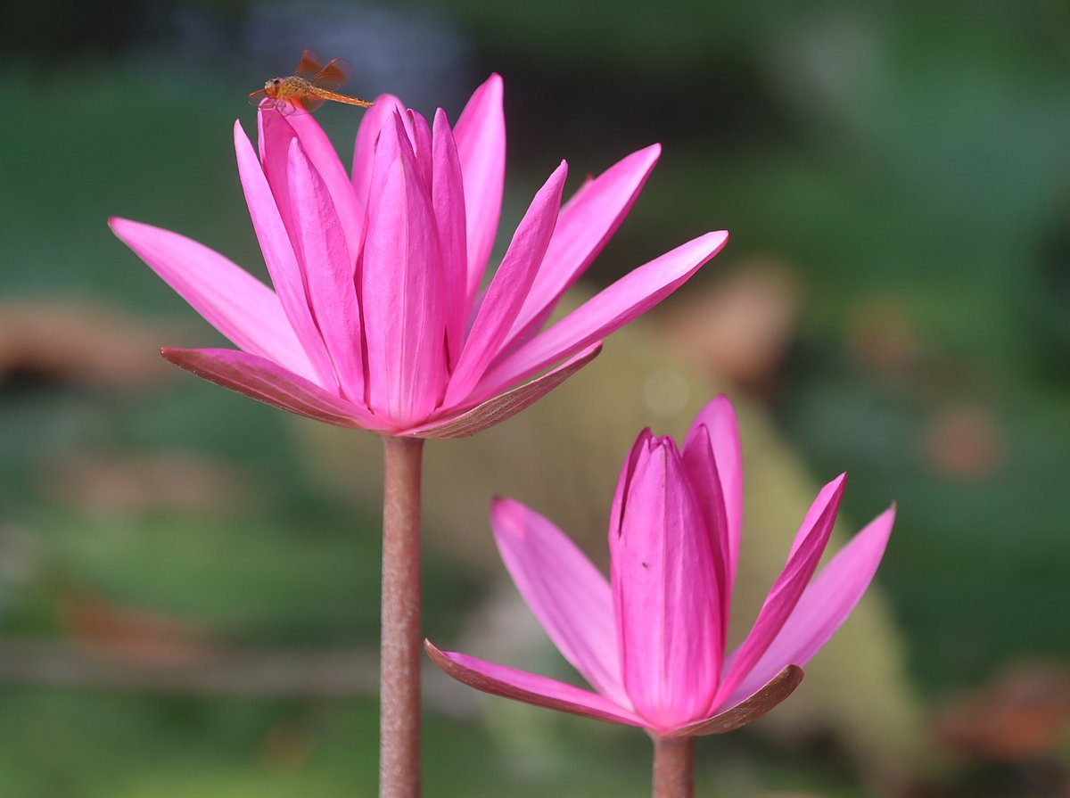 একঝলক (১৬ সেপ্টেম্বর ২০২৬)