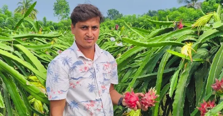 গৃহবন্দি সময় কাটে ফেসবুক-ইউটিউবে, ড্রাগন চাষে সফল ইব্রাহীম