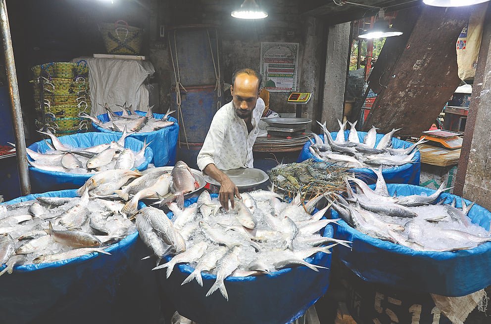 ইলিশের উৎপাদন কমছে চার কারণে, ভরা মৌসুমেও দাম চড়া