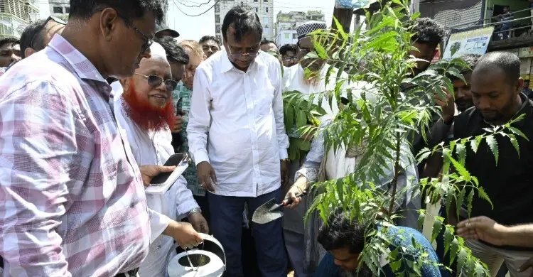 কদমতলীতে বৃক্ষরোপণ কর্মসূচির উদ্বোধন করলেন ডিএসসিসি প্রশাসক