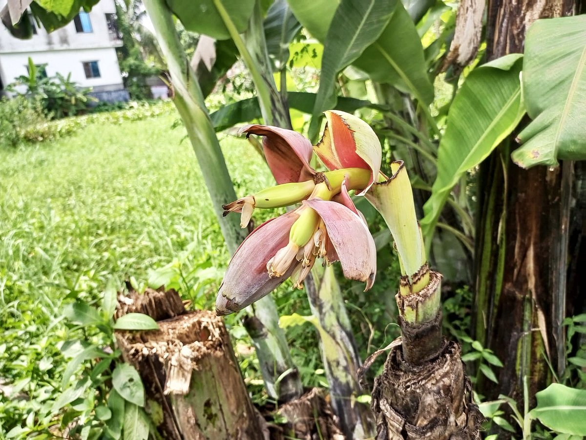 পাঠকের ছবি (১৪ সেপ্টেম্বর ২০২৬)