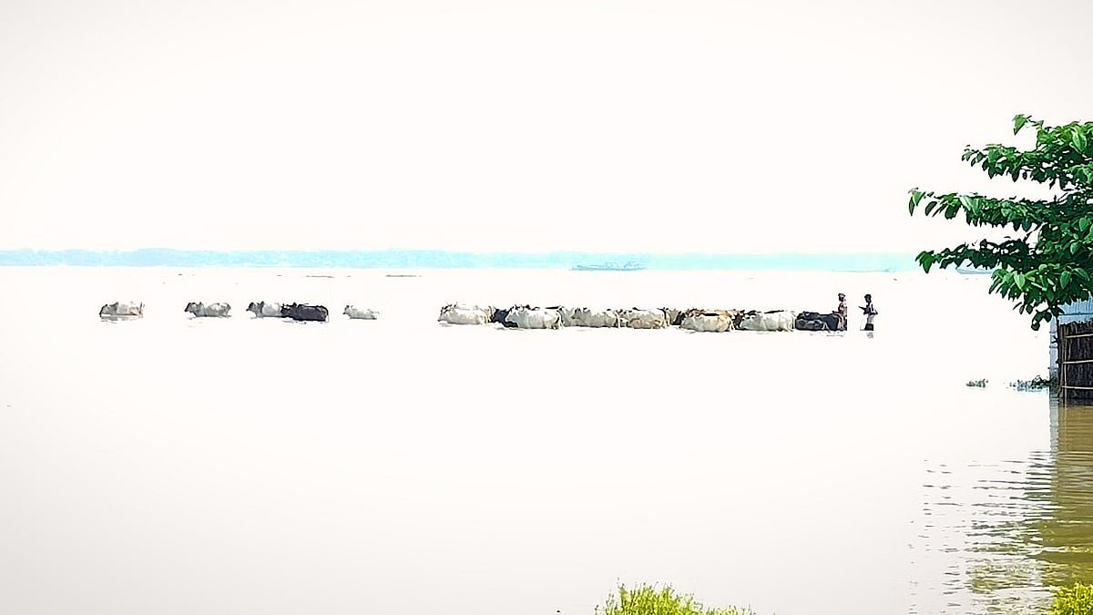 পদ্মার পানি বাড়ছে, নিরাপদ আশ্রয়ে ছুটছে মানুষ