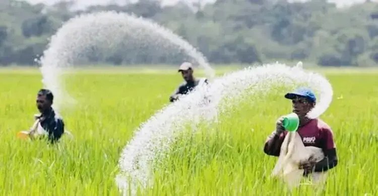 সারের কোনো সংকট নেই, ঘাটতি অভিযোগ সঠিক নয়: বাণিজ্য প্রতিমন্ত্রী