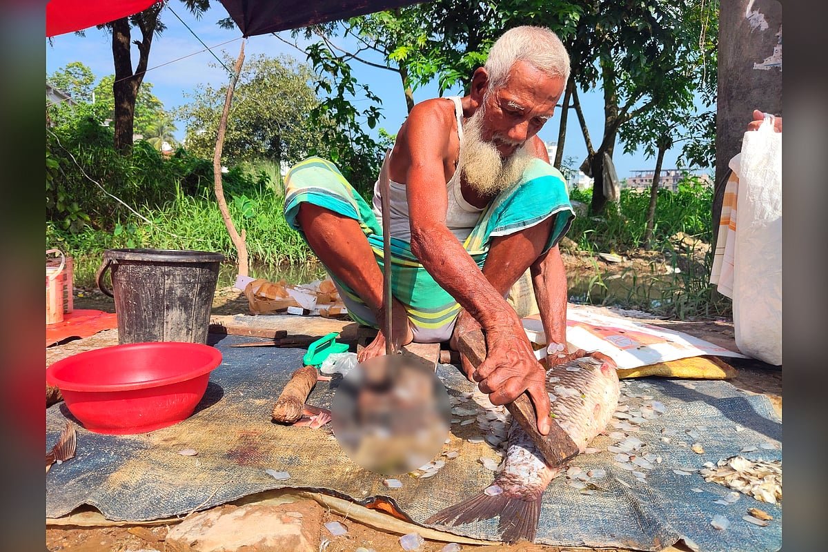 সংসার চালাতে বৃদ্ধ বয়সেও বাজারে মাছ কাটেন পাবনার নিয়ামত
