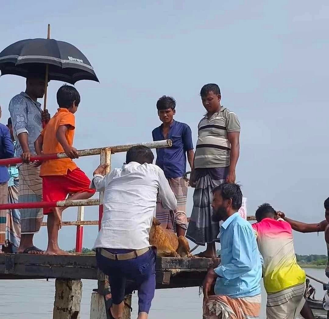 স্রোতের টানে সাগরে ভেসে যাচ্ছিল কুকুর, যেভাবে উদ্ধার হলো
