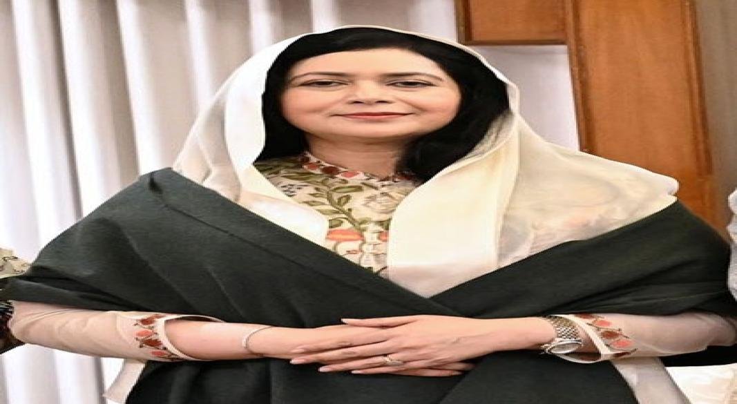 সব জেলায় জরুরি ও ক্রিটিক্যাল সেবা নিশ্চিত করুণ: ডা. জুবাইদা রহমান